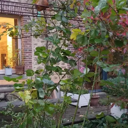 Au Jardin Des Violettes Nocleg ze śniadaniem Maheru