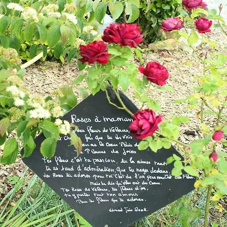 Au Jardin Des Violettes 3*