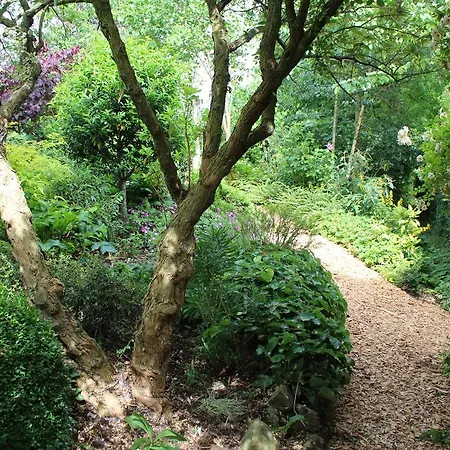 Bed and breakfast Au Jardin Des Violettes