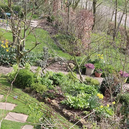 Nocleg ze śniadaniem Au Jardin Des Violettes
