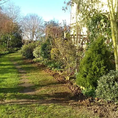 Bed & Breakfast Au Jardin Des Violettes