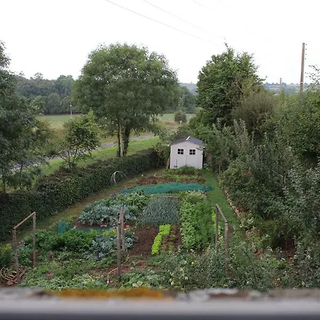 Au Jardin Des Violettes