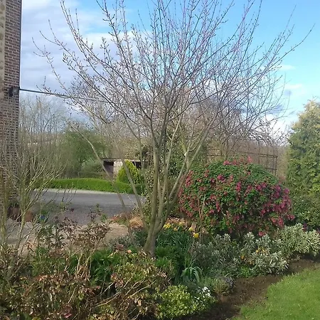 Au Jardin Des Violettes