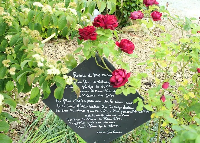 Au Jardin Des Violettes 3*