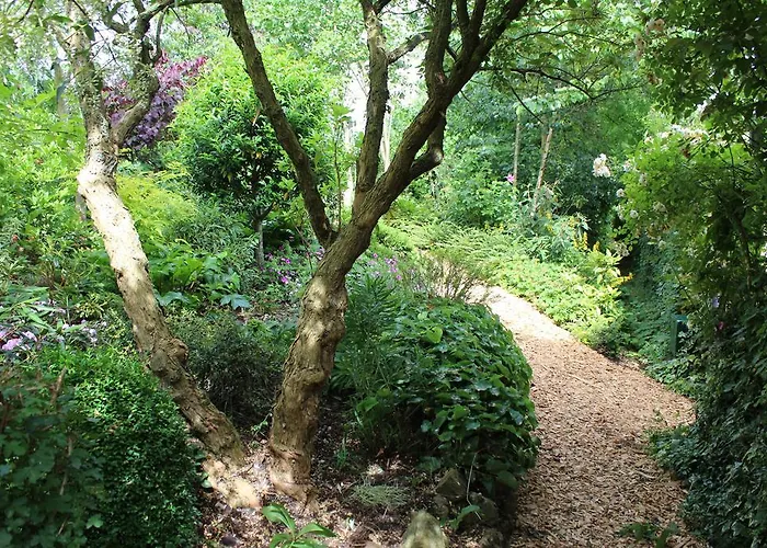 Frühstückspension Au Jardin Des Violettes