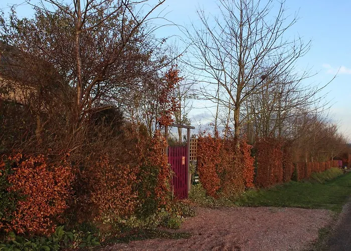 Au Jardin Des Violettes Frühstückspension 3*