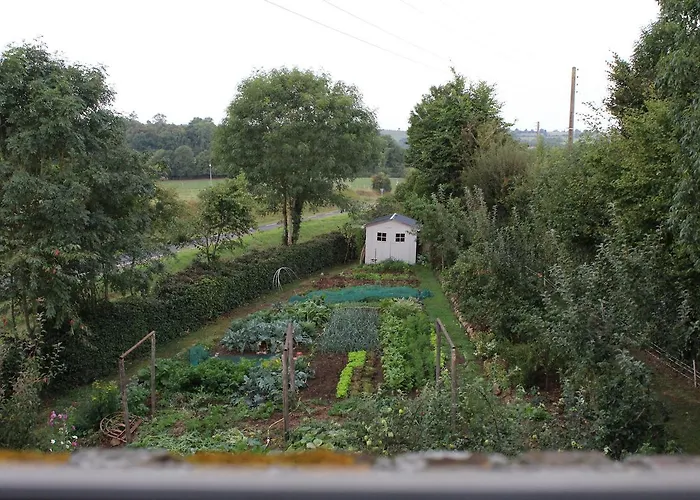 Au Jardin Des Violettes