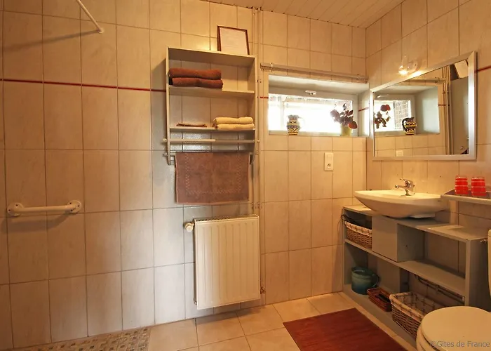 Au Jardin Des Violettes 3*