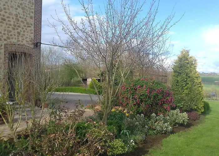 Au Jardin Des Violettes